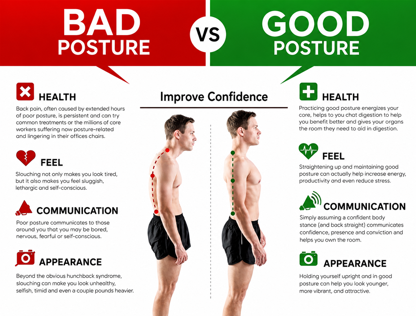 Posture Corrector Belt for Men & Women