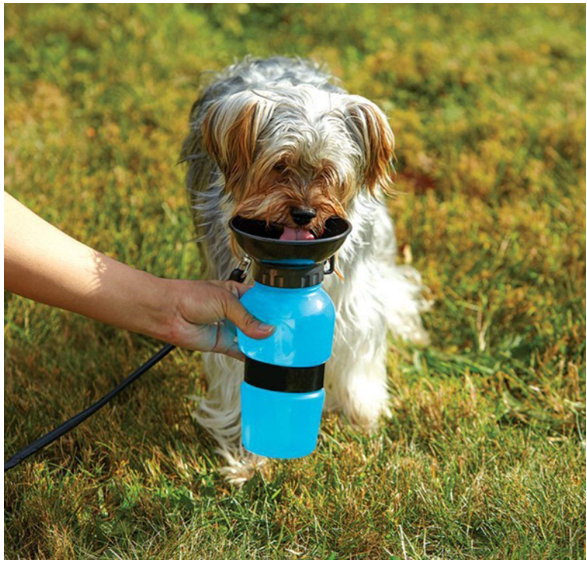 Portable Pet Water Bottle with Drinking Bowl | Leakproof Travel Water Dispenser for Dogs & Cats
