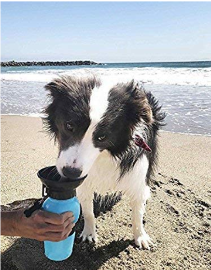 Portable Pet Water Bottle with Drinking Bowl | Leakproof Travel Water Dispenser for Dogs & Cats
