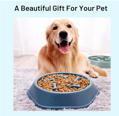 Slow Feeder Dog Bowl | Anti-Choking Interactive Feeding Bowl for Dogs & Cats